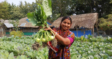 বাগেরহাটে কোস্টস প্রকল্প: লবণাক্ত জমিতেই ফলছে সবজি