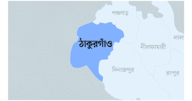 ঠাকুরগাঁওয়ে বিএসএফের হাতে বাংলাদেশি আটক