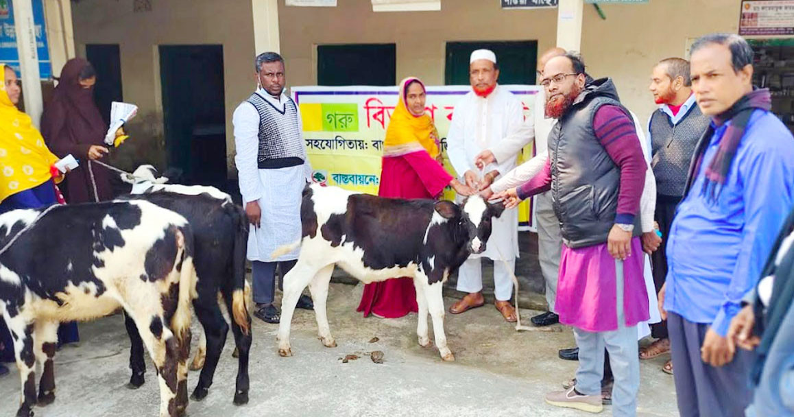 বাছুর হাতে ধরিয়ে ফটোসেশন, খিচুড়ি দিয়ে বিদায়