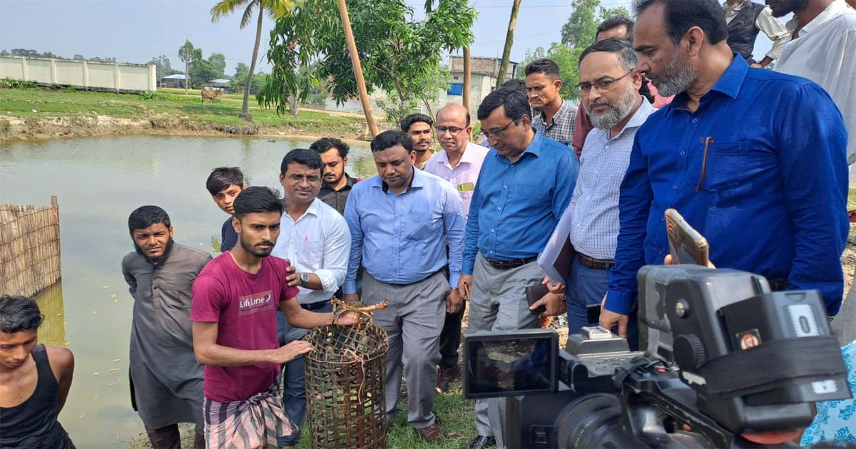 প্রথমবারের মতো কাঁকড়ার সম্পূরক খাবার উদ্ভাবন করলেন নোবিপ্রবি