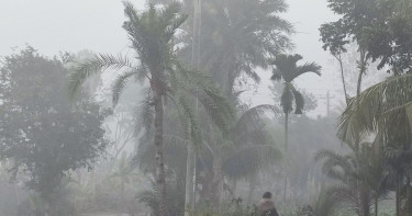 আজ দেশের সর্বনিম্ন তাপমাত্রা শ্রীমঙ্গলে