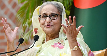 বেশি তোষামোদ করলেই হাসিনা দিতেন প্লট