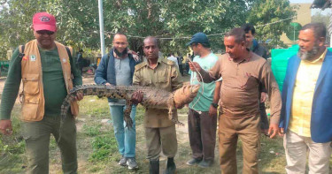 সুন্দরবনে স্যাটেলাইট ট্রান্সমিটার যুক্ত আরও এক কুমির অবমুক্ত