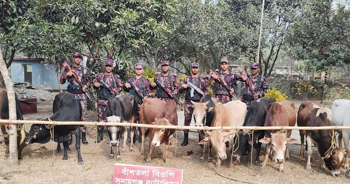 সুনামগঞ্জ সীমান্তে গরুসহ ১৫ লাখ টাকার ভারতীয় পণ্য জব্দ