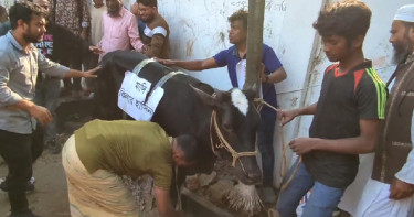 ধানমন্ডি ৩২-এ গরু দিয়ে ভুঁড়িভোজের আয়োজন