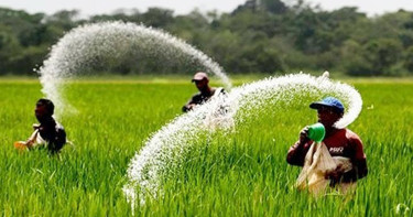 আগের দামেই সার পাবেন কৃষকেরা