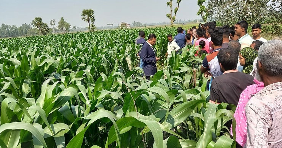 ভুট্টাক্ষেতে পড়ে ছিল রক্তমাখা লাঠি-দড়ি-মুঠোফোন