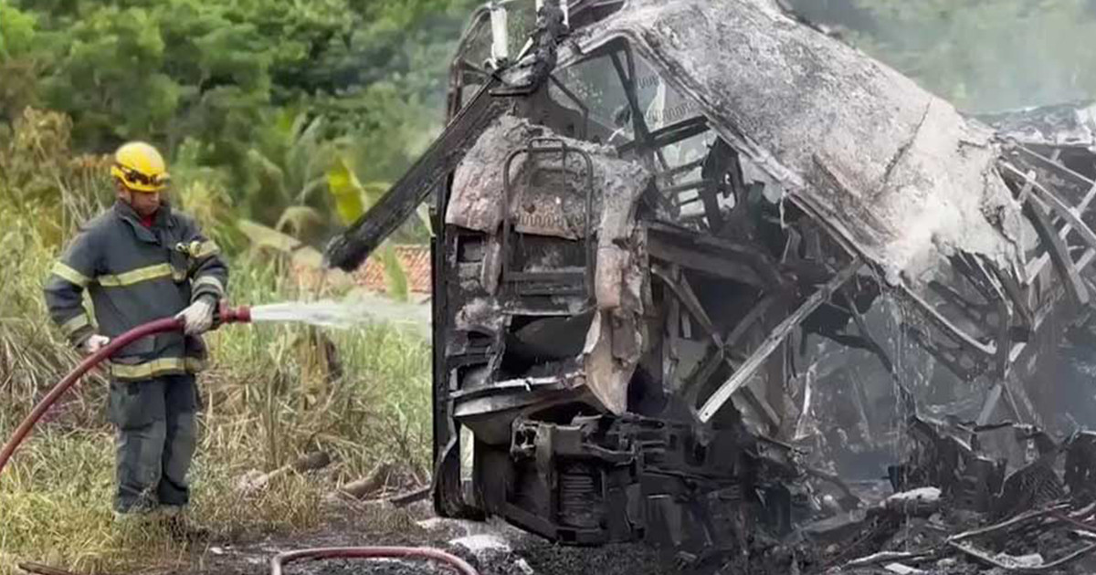 ব্রাজিলে বাস-ট্রাক সংঘর্ষে ১২ শিক্ষার্থী নিহত, আহত ২১