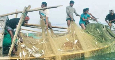 মধ্যরাত থেকে পদ্মা-মেঘনায় ২ মাস মাছ ধরা নিষিদ্ধ