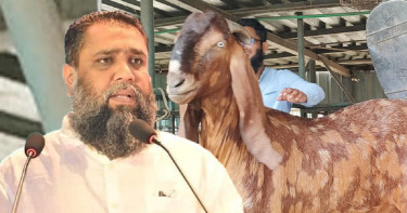 সাদিক অ্যাগ্রোর চেয়ারম্যান ইমরান গ্রেপ্তার