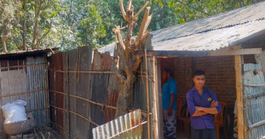 গৃহবধূর ‘ভূত তাড়াতে’ গিয়ে কবিরাজের মৃত্যু