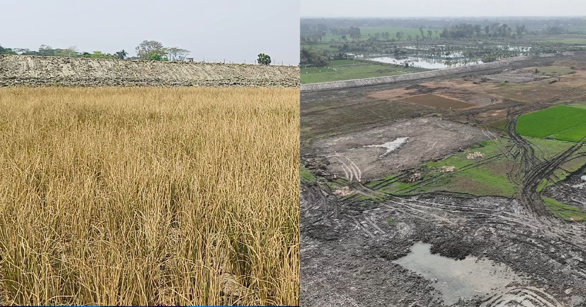 তাই বলে বিষ প্রয়োগ! সারা বছর খামু কেমনে