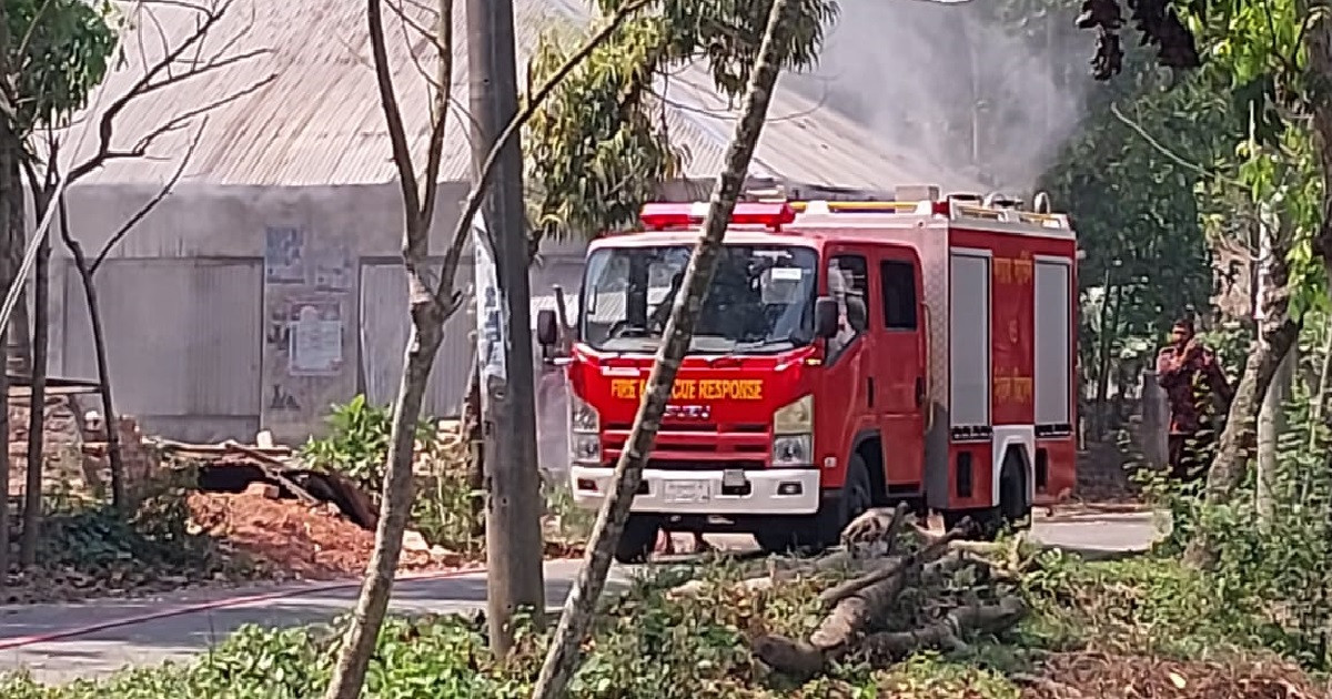 বাগেরহাটে বিএনপি নেতাকে কুপিয়ে হত্যা, ৩ বাড়িতে আগুন