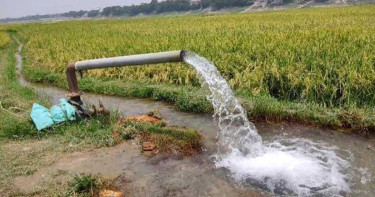 যে ৮ ঘণ্টা সেচ পাম্প চালানোর অনুরোধ বিদ্যুৎ বিভাগের