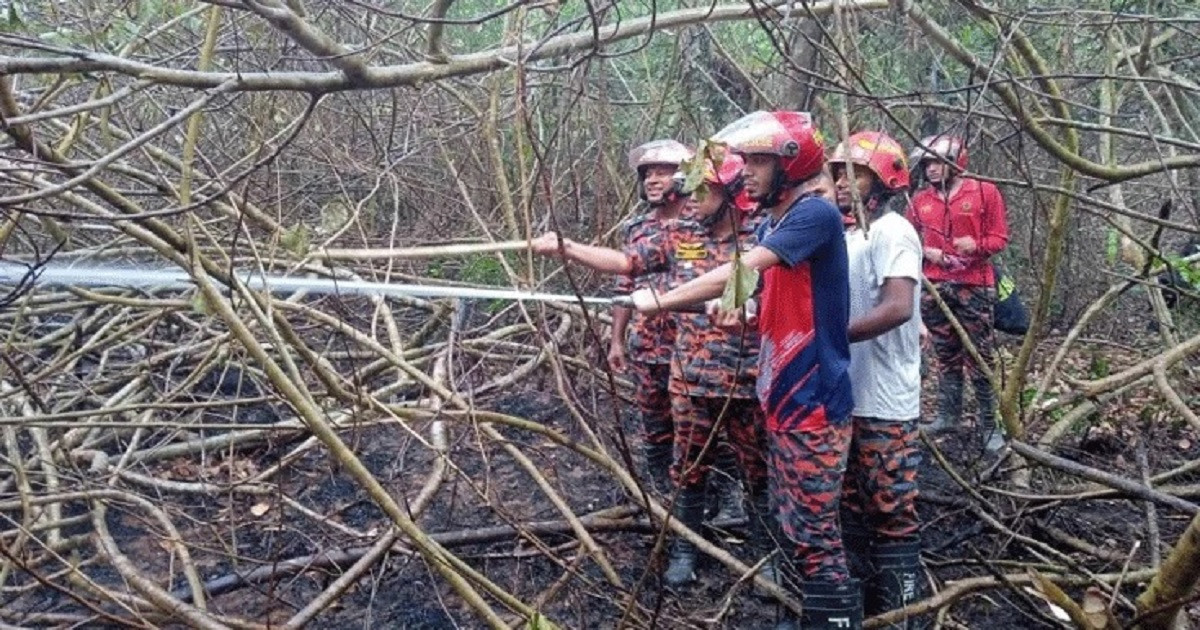 রাতভর চেষ্টায় সুন্দরবনের আগুন নিভলেও ড্রোনে দেখা মেলে ভিন্ন চিত্র