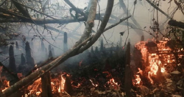 সুন্দরবনের আগুন নেভানোর শেষ ভরসা জোয়ারের পানি