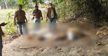 ফলের কার্টনে তিনটি প্যাকেট, একটিতে মানুষের মাথা ও দুইটিতে উরু