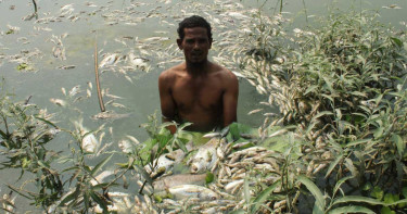 এ কেমন শত্রুতা!