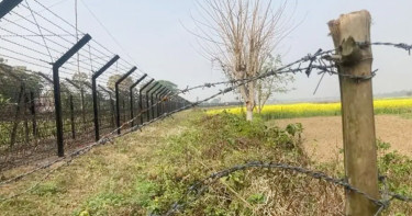 মহেশপুর সীমান্তে বিএসএফের গুলিতে বাংলাদেশি কৃষক আহত