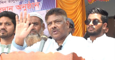 আ. লীগের সময়েই হিন্দুদের সবচেয়ে বেশি জমি দখল হয়েছে: দুলু