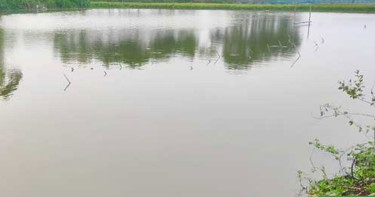 সবার অগোচরে পুকুরে নেমেছিল ২ চাচাতো ভাই, অতঃপর...