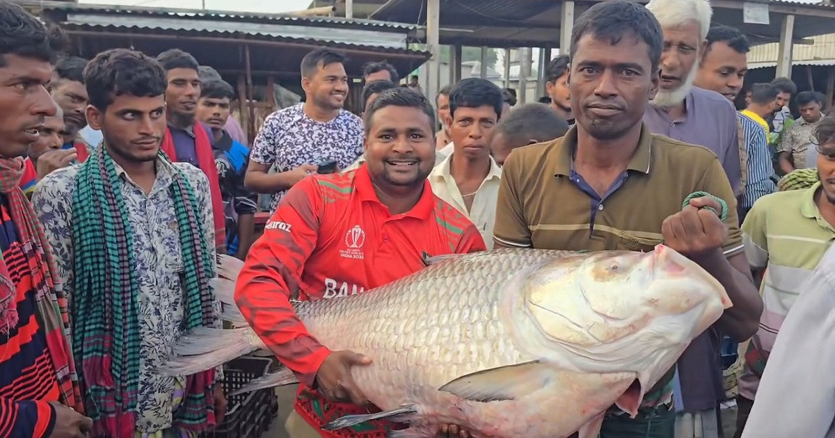 এক কাতলে পকেট ভারী জেলে আলেকচানের, পেলেন কত?