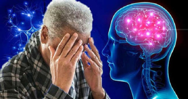 স্মৃতিশক্তি কমতে থাকে যে ভিটামিনের অভাবে