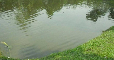 রাঙ্গুনিয়ায় ২ শিশুর মৃত্যুতে এলাকায় শোকের ছায়া