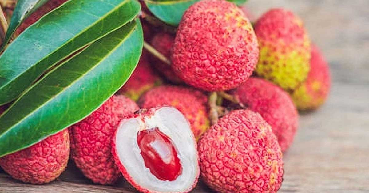 লিচুর বিচি গলায় আটকে শিশুর মৃত্যু