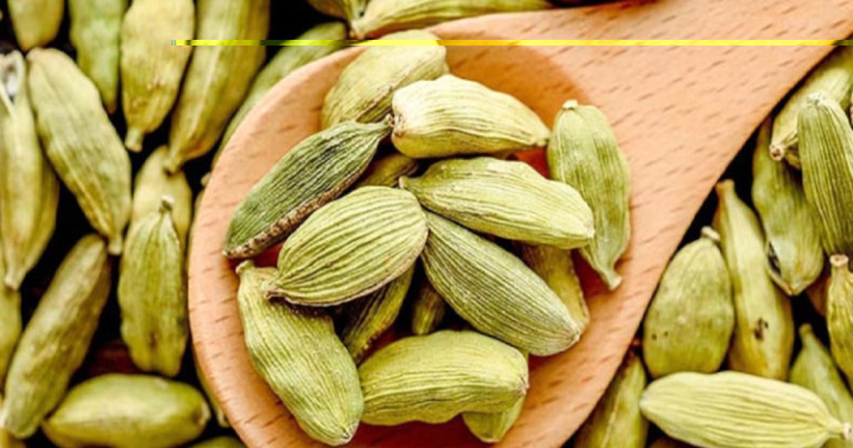 রাতে ঘুমানোর আগে এলাচ খেলে যা ঘটবে শরীরে