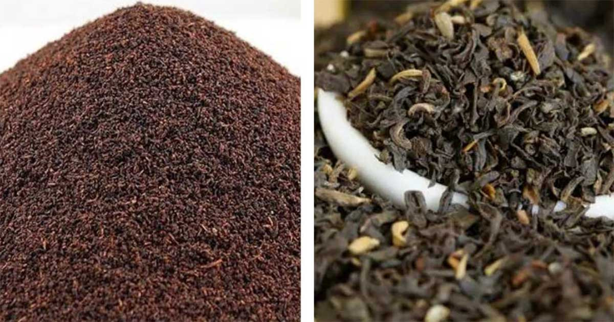 ৮০ হাজার কেজি চা বিক্রি এক ঘণ্টায়!