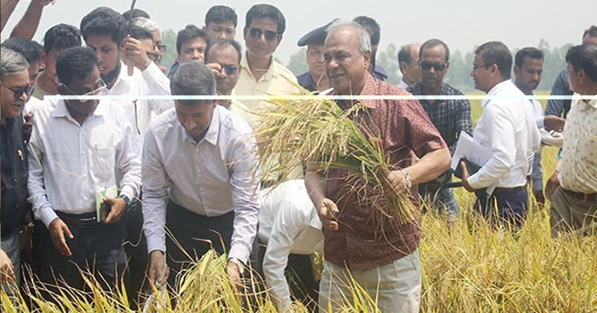 ভয়ের কোনো কারণ নেই, আমাদের সীমান্ত সম্পূর্ণ নিরাপদ: স্বরাষ্ট্র উপদেষ্টা