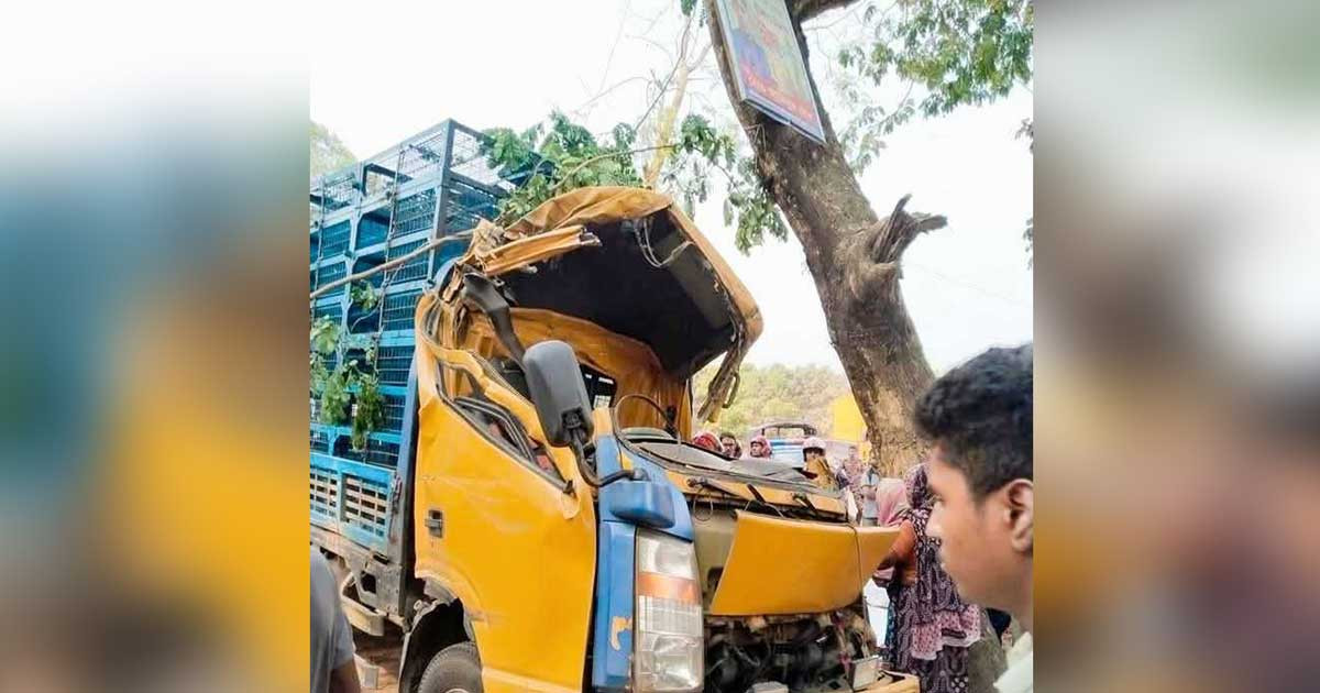 গোপালগঞ্জে গাছের সঙ্গে পিকআপ ভ্যানের ধাক্কায় নিহত ৩
