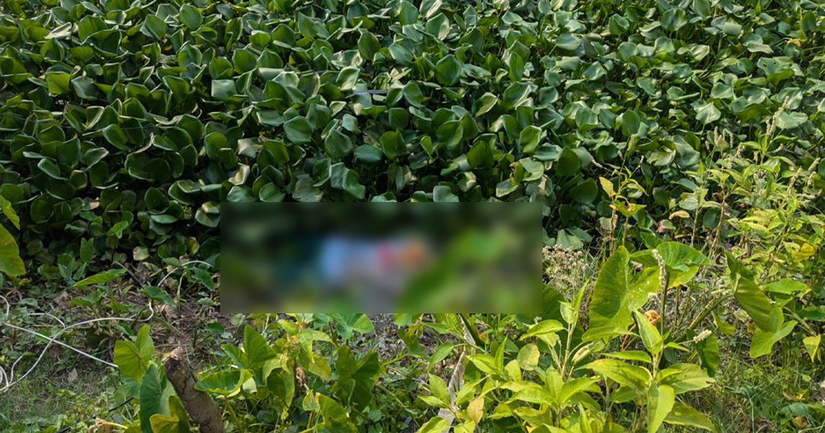 খাল থেকে বরিশাল বিশ্ববিদ্যালয়ের কর্মকর্তার মরদেহ উদ্ধার