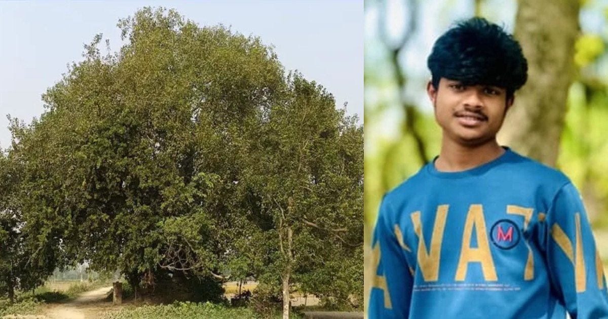 বটগাছের ডাল কেটে প্রাণ দিয়ে ঋণ শোধ!