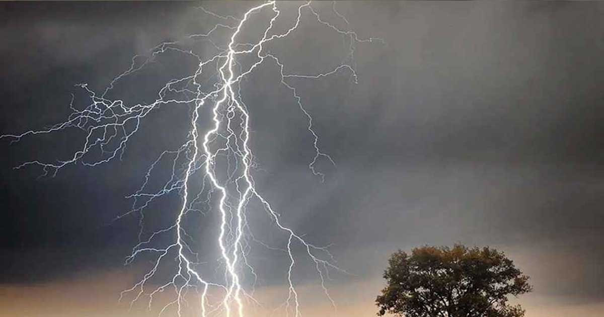 বজ্রপাতে কিশোরগঞ্জ ও ব্রাহ্মণবাড়িয়ায় ৮ জনের মৃত্যু
