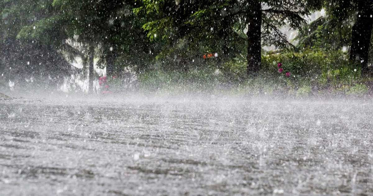 সোমবার ৬ বিভাগে বৃষ্টি ও রোধ নিয়ে যে বার্তা দিলো আবহাওয়া অফিস