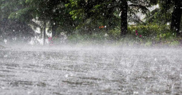 সোমবার ৬ বিভাগে বৃষ্টি ও রোদ নিয়ে যে বার্তা দিলো আবহাওয়া অফিস