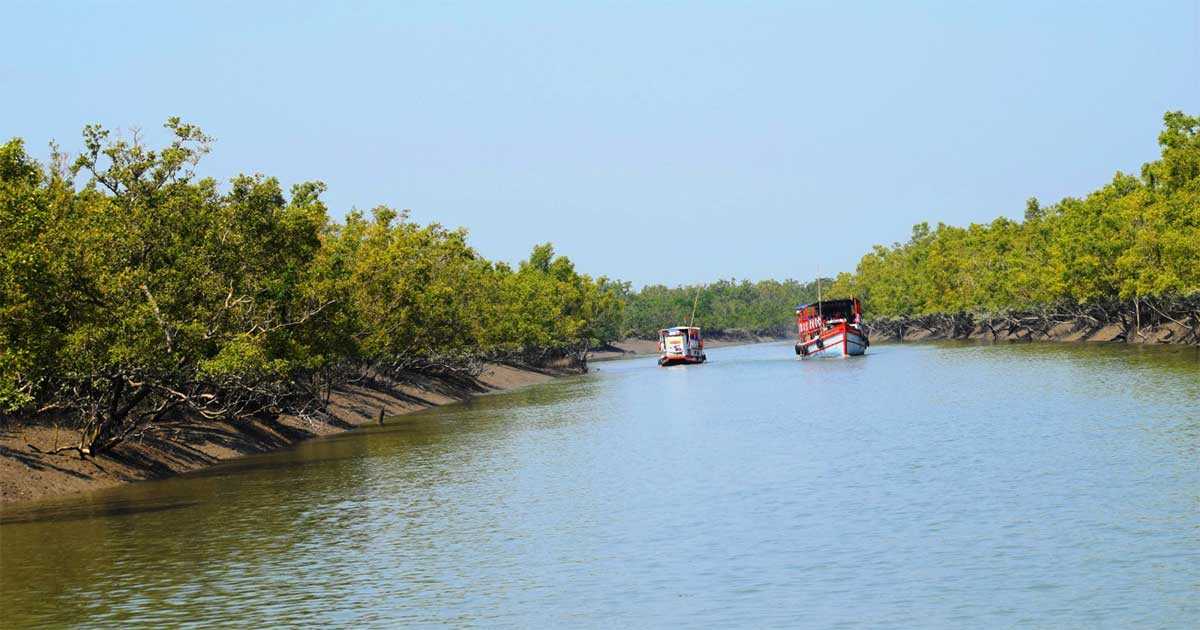 সুন্দরবনের ১০ কিমির মধ্যে শিক্ষা প্রতিষ্ঠান-প্রকল্প নির্মাণে নিষেধাজ্ঞা