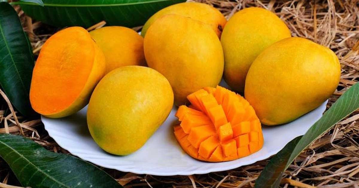 পাকা আম খাওয়ার সবচেয়ে ভালো সময় কখন