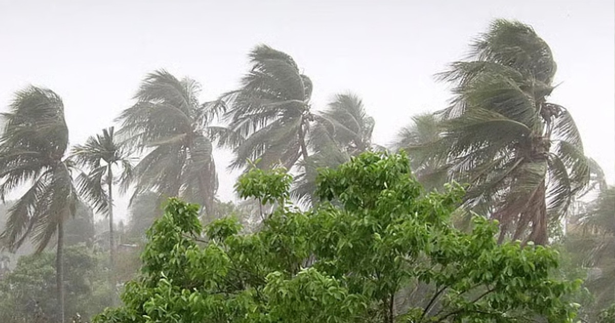 দুপুরের মধ্যে যেসব জেলায় ঝড়ের শঙ্কা ও সতর্কবার্তা
