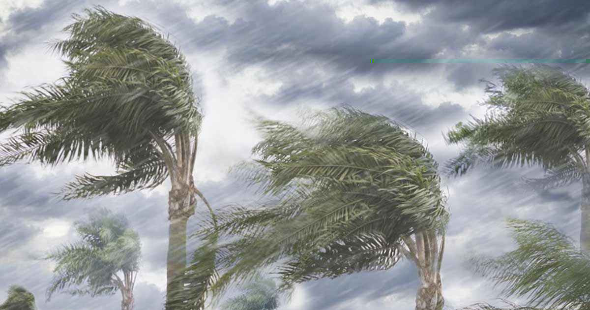 সন্ধ্যার মধ্যে ৬০ কিমি বেগে ঝড়সহ বজ্রবৃষ্টির শঙ্কা