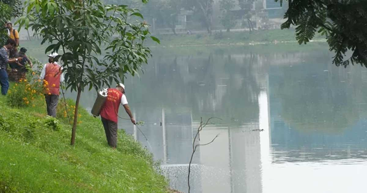 বাড়ছে এডিস মশার প্রকোপ, ঘনত্ব জরিপ বন্ধ