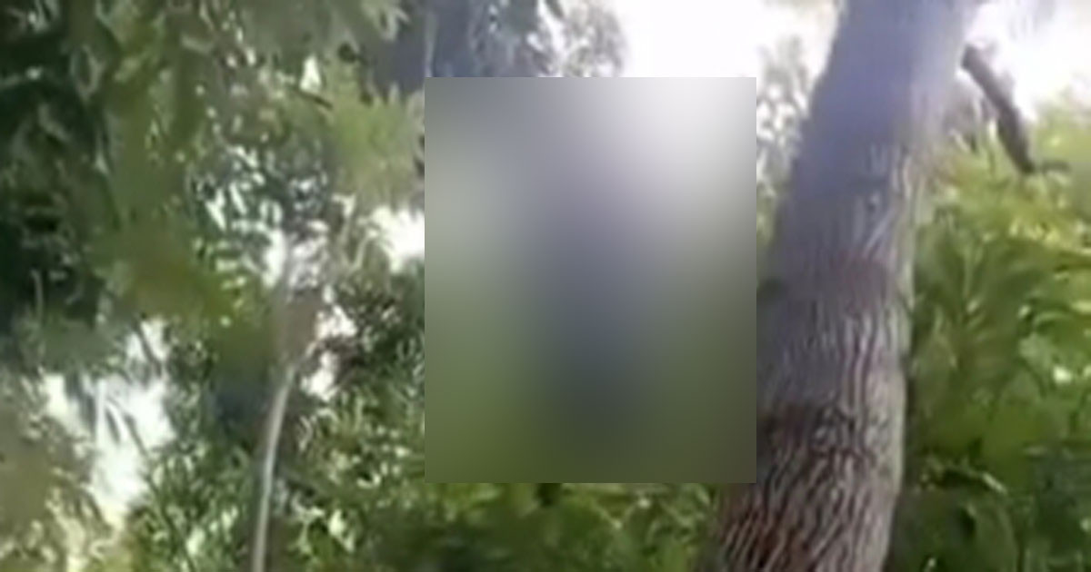 প্রেমের বিয়ে, স্ত্রী তালাক দেওয়ায় যুবকের আত্মহত্যা