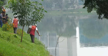 বাড়ছে এডিস মশার প্রকোপ, ঘনত্ব জরিপ বন্ধ