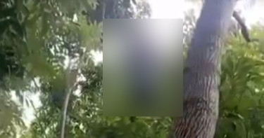 প্রেমের বিয়ে, স্ত্রী তালাক দেওয়ায় যুবকের আত্মহত্যা