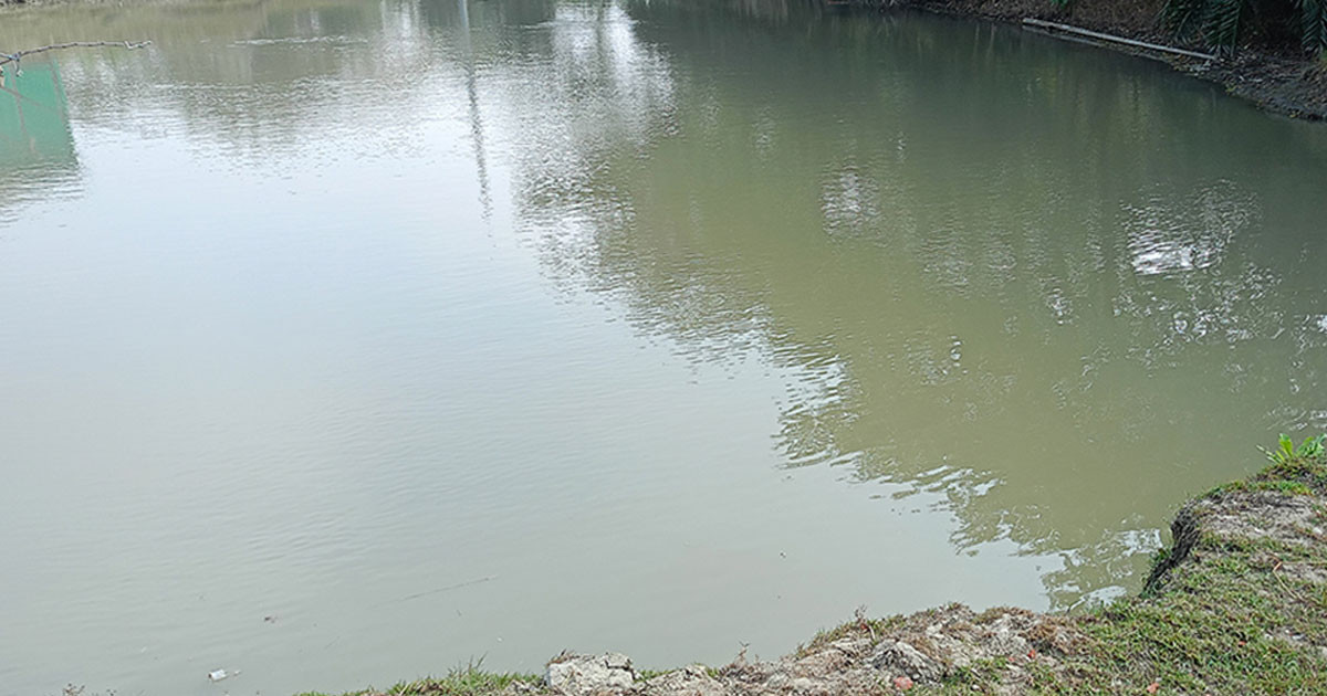 কুমিল্লায় পানিতে ডুবে মামা-ভাগ্নের মৃত্যু
