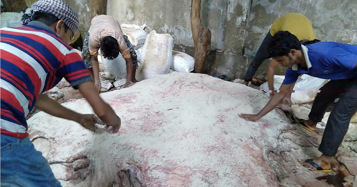 চামড়া সংরক্ষণে বিনা মূল্যে ৩০ হাজার টন লবণ দেবে সরকার