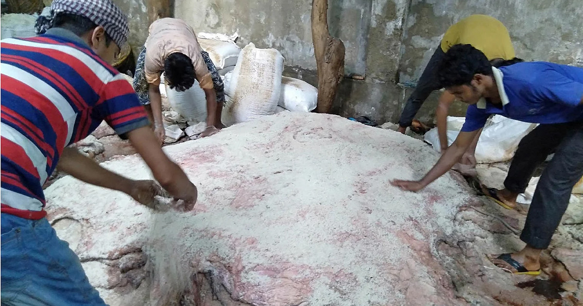 চামড়া সংরক্ষণে বিনা মূল্যে ৩০ হাজার টন লবণ দেবে সরকার