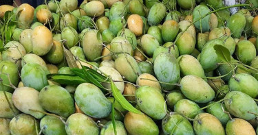 প্রথমবার চীনে যাচ্ছে বাংলাদেশের আম: ২৮ মে রপ্তানি শুরু